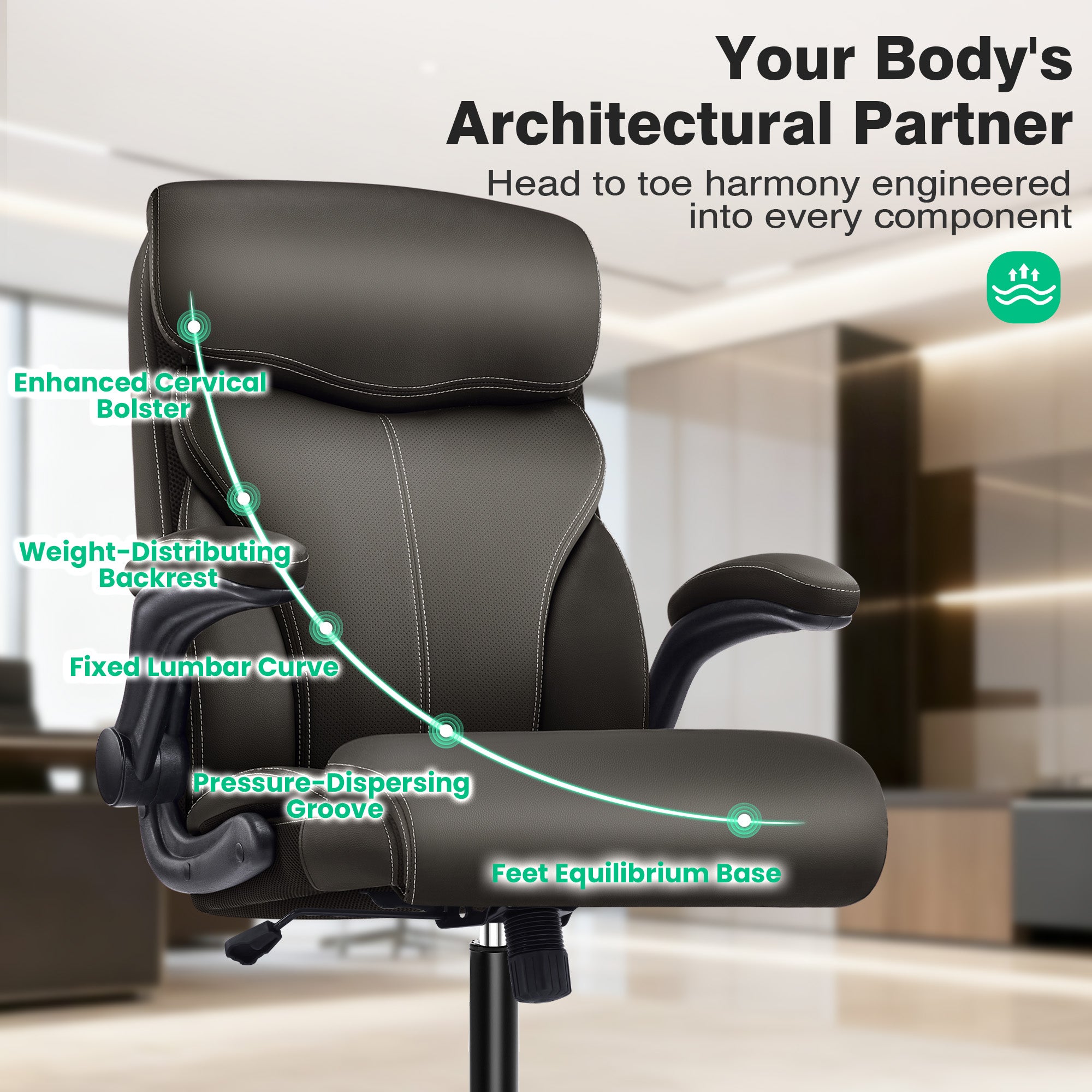 Dhole Executive Ergonomic Office Chair - High Back Mesh Desk Chair with Lumbar Support, 4D Armrests, Tilt Function & Breathable Mesh for Home Office (Black)