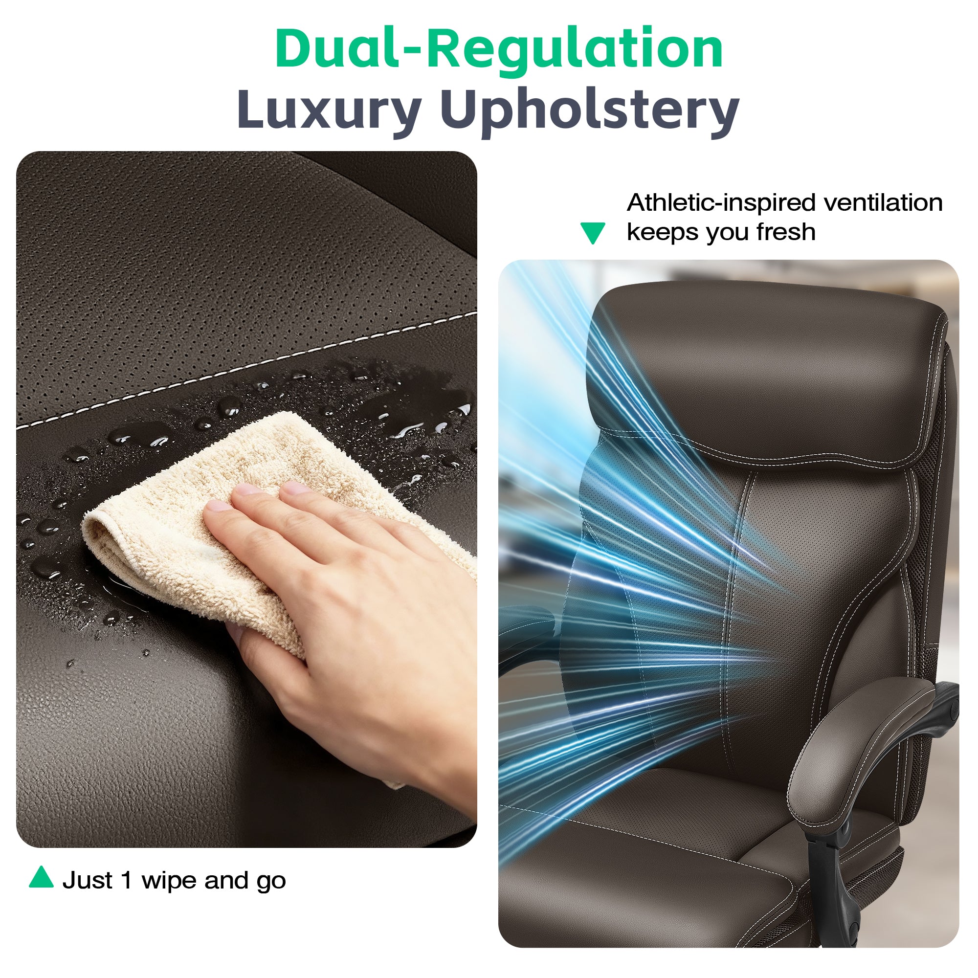 Dhole Executive Ergonomic Office Chair - High Back Mesh Desk Chair with Lumbar Support, 4D Armrests, Tilt Function & Breathable Mesh for Home Office (Black)